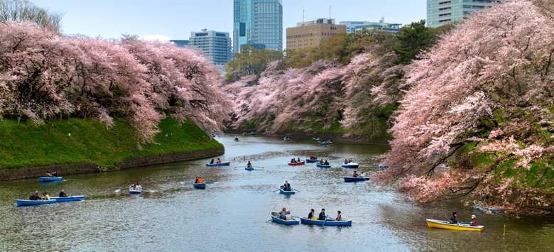 10 Unique Spring Traditions From Around The World - Travel Team