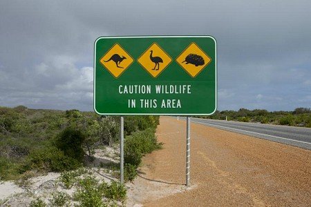 australia-nature-warning-sign - Travel Team