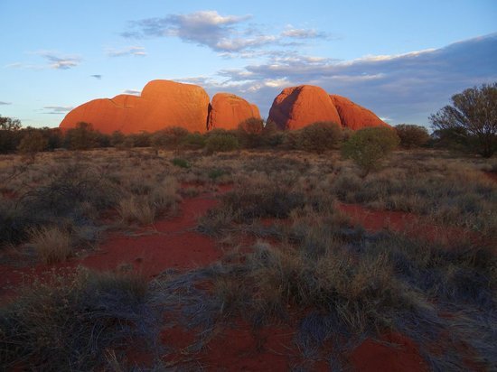 aat kings uluru day tours