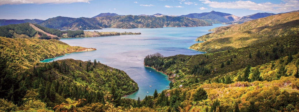 Apt New Zealand Magic New Zealand Queen Charlotte Sound Lcba